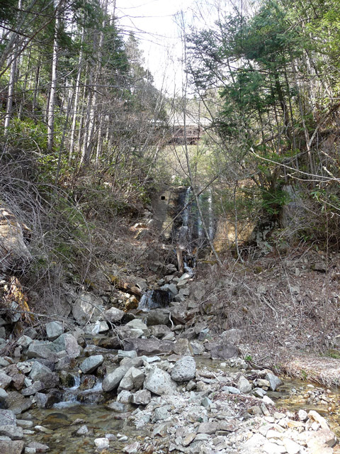 ����X�ѓS��,�T�J�T�}�J����