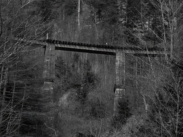 ����X�ѓS��,�T�J�T�}�J����