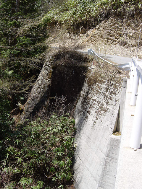 ����X�ѓS��,�T�J�T�}�J����