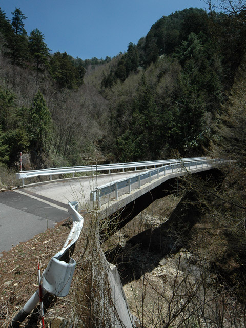 ����X�ѓS��,�T�J�T�}�J����