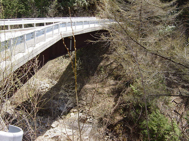 ����X�ѓS��,�T�J�T�}�J����