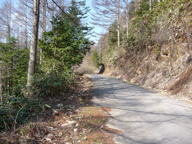 ����X�ѓS���u�T�J�T�}�J�����[����v