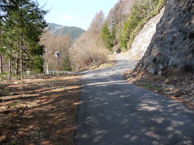 ����X�ѓS���u�T�J�T�}�J�����[����v