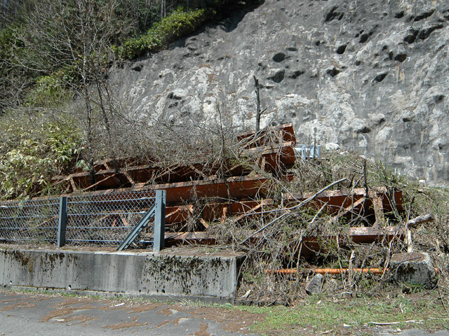 ����X�ѓS���u�T�J�T�}�J�����[����v