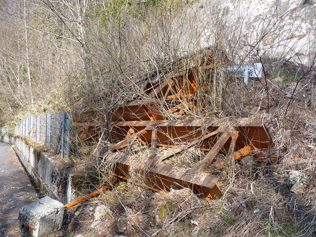 ����X�ѓS���u�T�J�T�}�J�����[����v