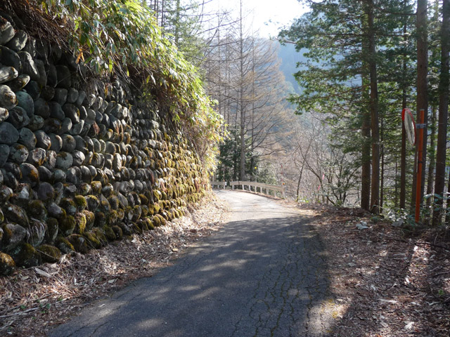 ����X�ѓS���u�T�J�T�}�J�����[����v