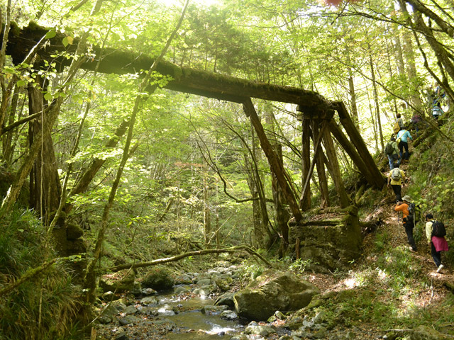 �X�ѓS��,�ѓS,�p����,���ґ��ƋO��,��Ɛ�,�ؑ���,����,����c�я�