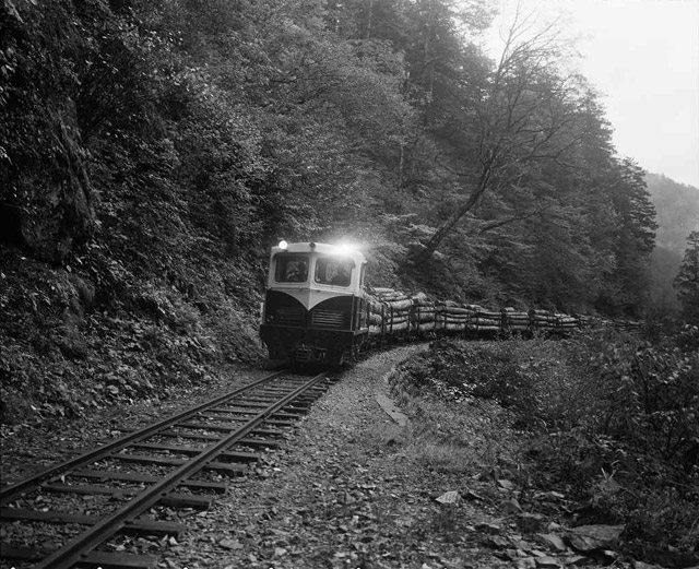 王滝森林鉄道うぐい川線,運材列車,酒井DBT10