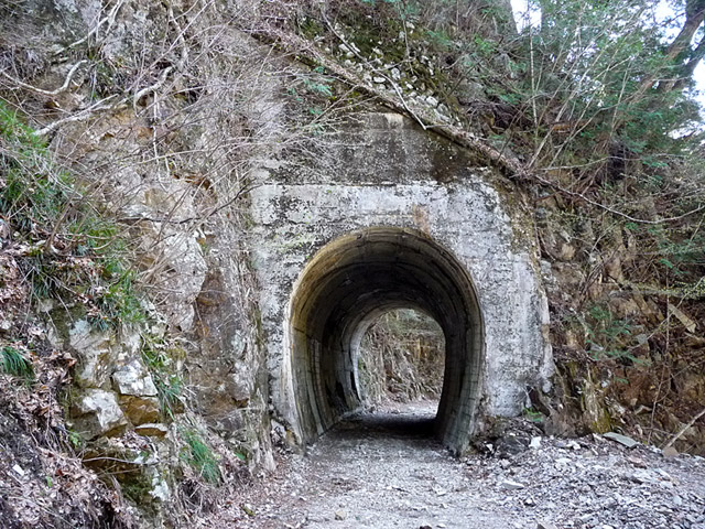 うぐい川森林鉄道,第4号隧道,トンネル