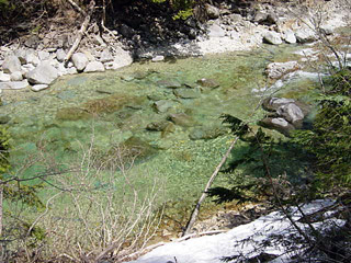 �ؑ]�X�ѓS��,��������ѓS,�p����,���ꑺ