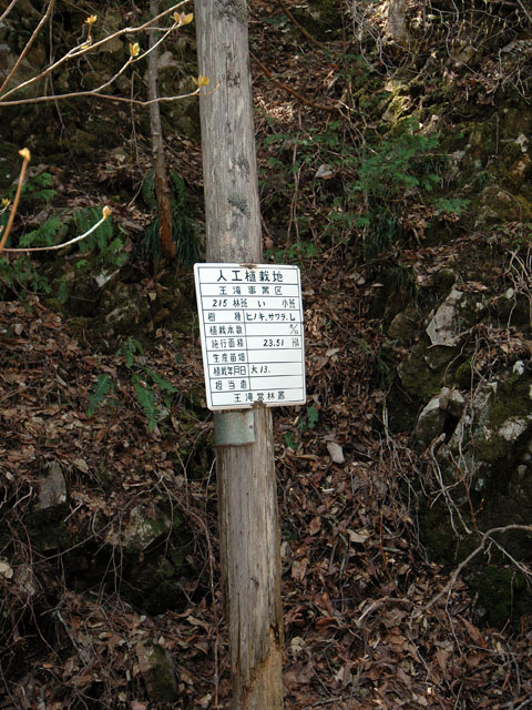 �ؑ]�X�ѓS��,��������ѓS,�p����,���ꑺ