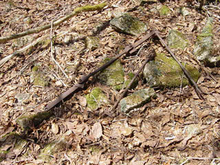 ����X�ѓS�����������,�V����ԏ�,�ѓS,�p����