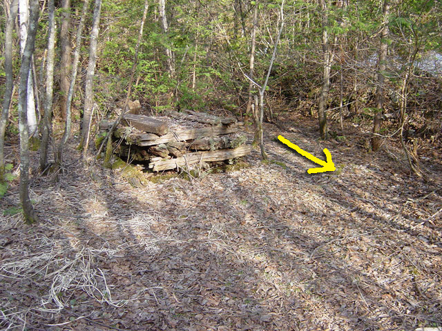 ����X�ѓS�����������,�V����ԏ�,�ѓS,�p����