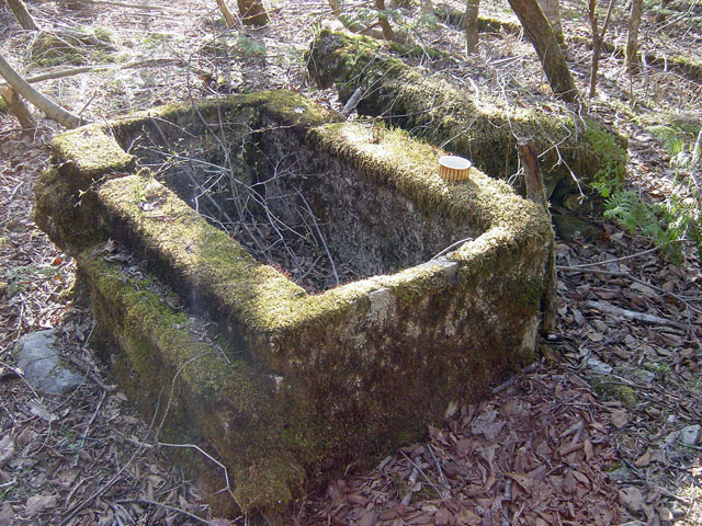 ��������X�ѓS��,�V����ԏ�,�ѓS,�ې���h��