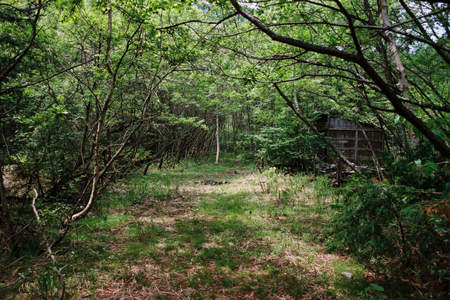 ����X�ѓS�����������,�V����ԏ�,�p����,�ѓS,�㏼�^�A�c�я�