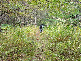 ����X�ѓS�����������,�V����ԏ�,�p����,�ѓS,�㏼�^�A�c�я�