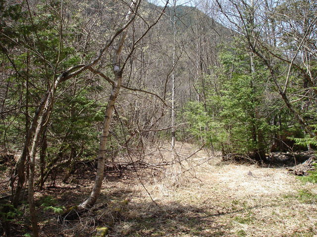 ����X�ѓS�����������,�V����ԏ�,�p����,�ѓS,�㏼�^�A�c�я�