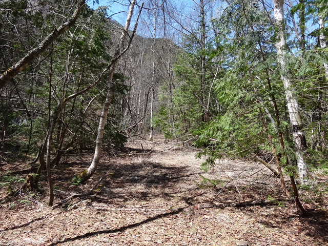 ����X�ѓS�����������,�V����ԏ�,�p����,�ѓS,�㏼�^�A�c�я�