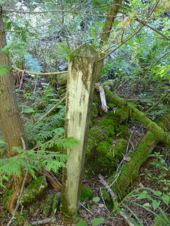 �X�ѓS��,�ѓS,�ѓ��W,�ې���E�W