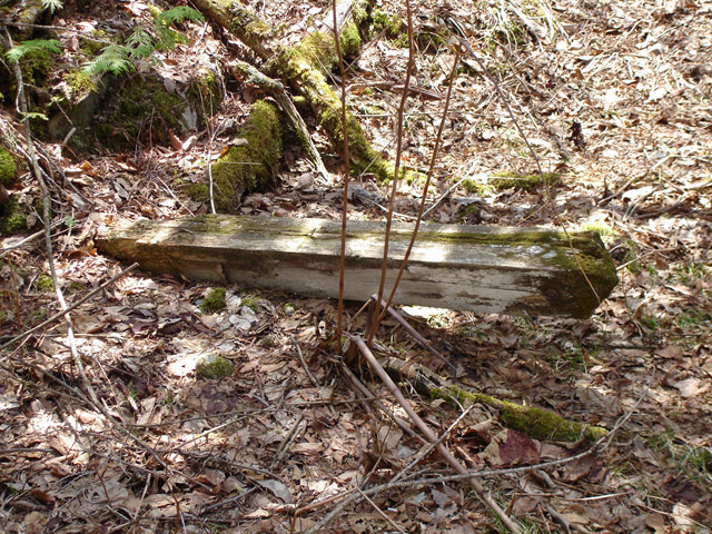 �X�ѓS��,�ѓS,�ѓ��W,�ې���E�W