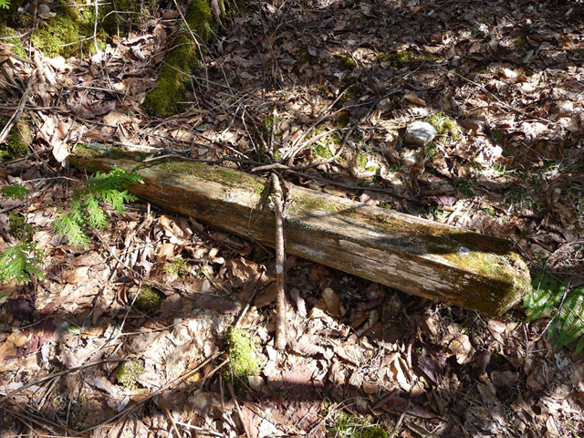 �X�ѓS��,�ѓS,�ѓ��W,�ې���E�W