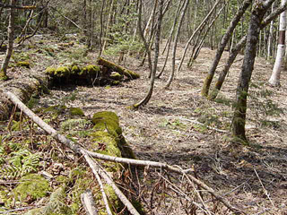 �X�ѓS��,�ѓS,�ѓ��W,�ې���E�W