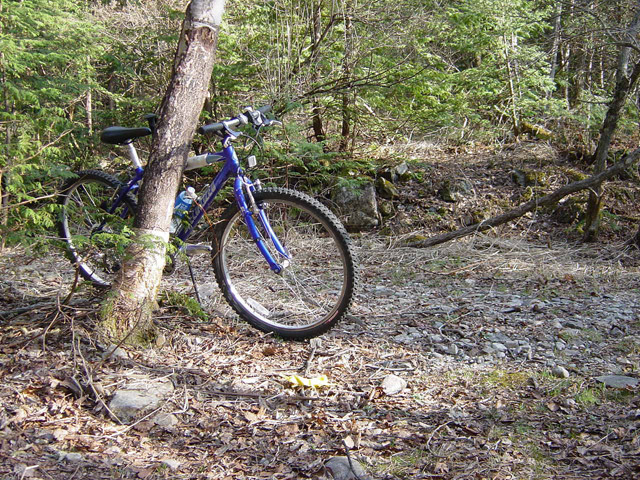 ����X�ѓS�����������,�V����ԏ�,�ѓS,�p����