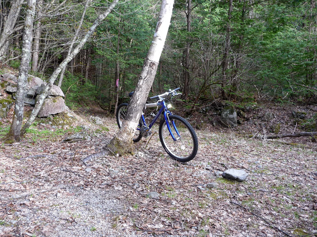 ����X�ѓS�����������,�V����ԏ�,�ѓS,�p����