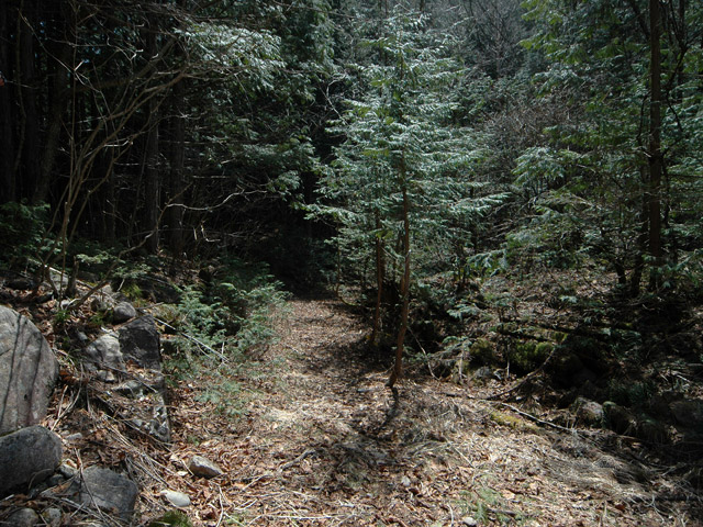 ��������X�ѓS��,�V����ԏ�,�ѓS,�p����