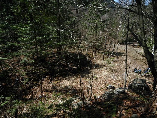 ��������X�ѓS��,�V����ԏ�,�ѓS,�p����