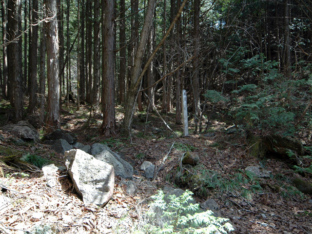 ��������X�ѓS��,�V����ԏ�,�p����,�ѓS