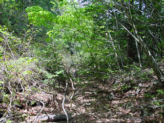 �X�ѓS����������ѓS,�V����ԏ�,�p����