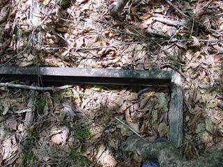 �X�ѓS����������ѓS,�V����ԏ�,�p����,���[��