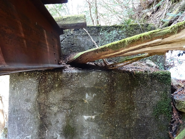 ��������X�ѓS��,�V��≺����,�ѓS,����,�K�[�_�[,�p����