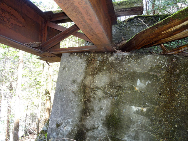 ��������X�ѓS��,�V��≺����,�ѓS,����,�K�[�_�[,�p����