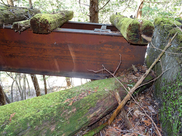 ��������X�ѓS��,�V��≺����,�ѓS,����,�K�[�_�[,�p����