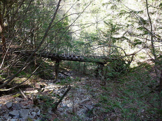 ��������X�ѓS��,�ѓS,�p����,�؋�,�g���b�R�O����,�V��