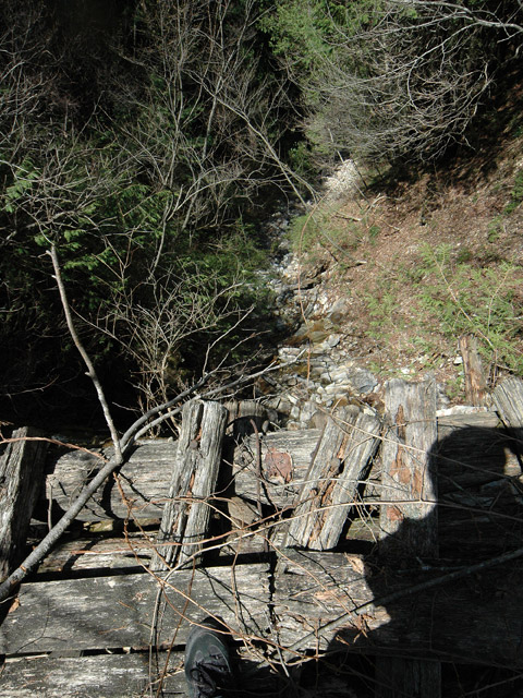 ��������X�ѓS��,�ѓS,�p����,�؋�,�g���b�R�O����,�V��