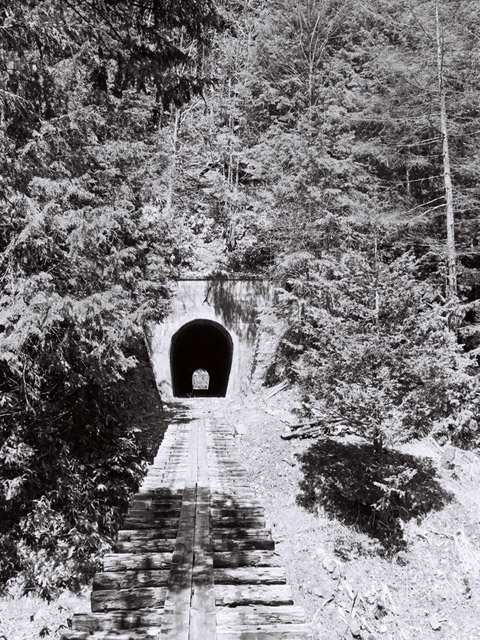 木曽森林鉄道うぐい川線,林鉄,レール,隧道,木材運搬軌道,トンネル