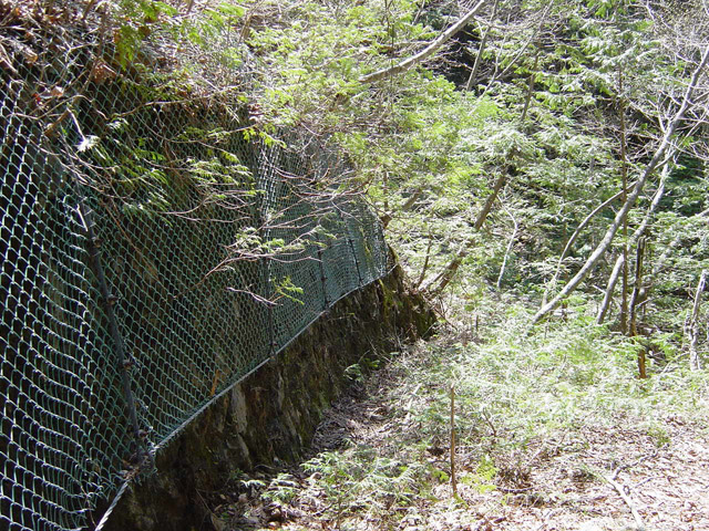 ��������X�ѓS��,�ѓS,�p����,���Ζh�~�l�b�g,�؍މ^���O����,�ѓ�,�H��