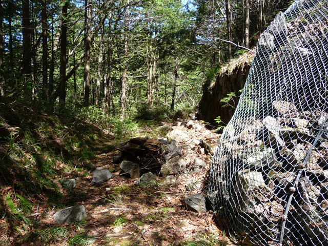 ��������X�ѓS��,�ѓS,�p����,���Ζh�~�l�b�g,�i���[�O��,�ѓ�,����