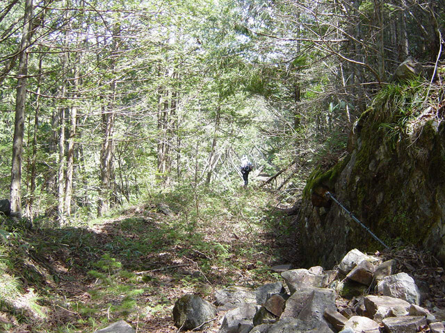 ��������X�ѓS��,�ѓS,�p����,���ꑺ,�i���[�O��,�ѓ�,����