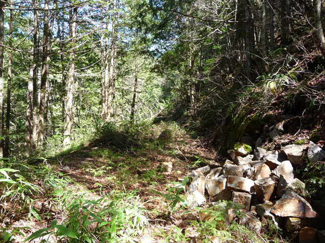 ��������X�ѓS��,�ѓS,�p����,����c�я�,�y�؋O��,����,����