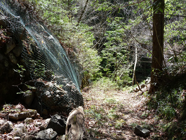 ��������X�ѓS��,�ѓS,�p����,����c�я�,�y�؋O��,����,����