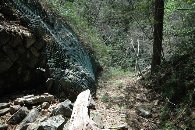 ��������X�ѓS��,�ѓS,�p����,����c�я�,�y�؋O��,����,�|��