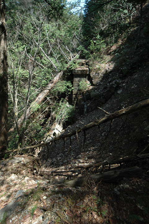 ��������X�ѓS��,�ѓS,�p����,�V��,PC��,��������,�i���[�O����