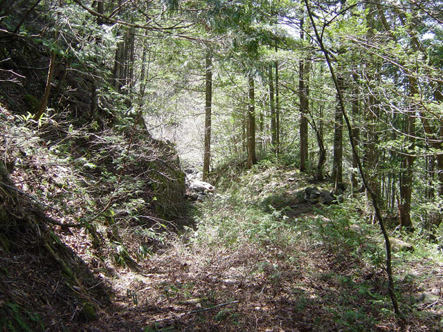 ��������X�ѓS��,�ѓS,�p����,�y�؋O��,����,�ؑ]�X�ъǗ���,�Ȑ�