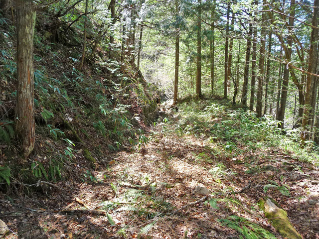 ��������X�ѓS��,�ѓS,�p����,�����X�ъǗ���,�H��,�ؑ]�X�ъǗ���,�ѓ�