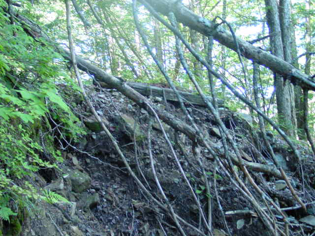 �ؑ]�X�ѓS�����������,�ѓS,�p����,��������,�g���o�[�X,�ւ�