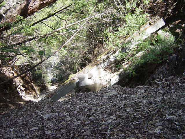 �ؑ]�X�ѓS�����������,�ѓS,�p����,�����,�R���N���[�g��,�V��